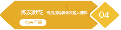 撒灰限花