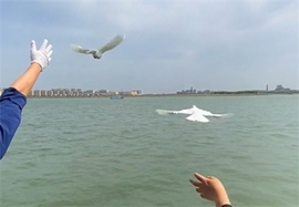 海撒悼念场所实拍
