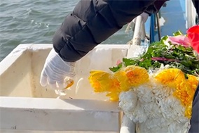 花瓣伴随骨灰入海实拍