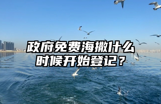 政府免费海撒什么时候开始登记？