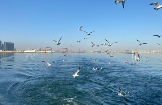 2024-08-30_131723