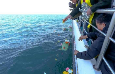 青岛的海，归去来兮