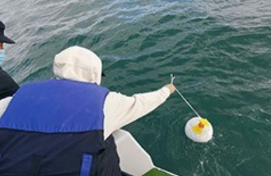 深圳可降解骨灰坛海撒