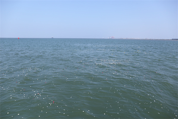 沈阳海葬价格一览表最新-2