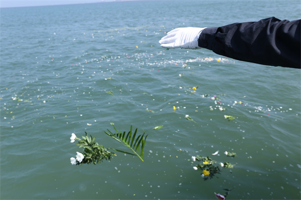 骨灰洒如大海,骨灰盒怎么处理的-3