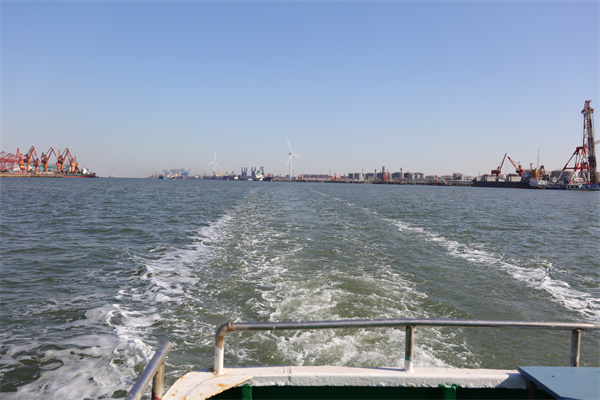 网上怎么预约海葬手续流程-2