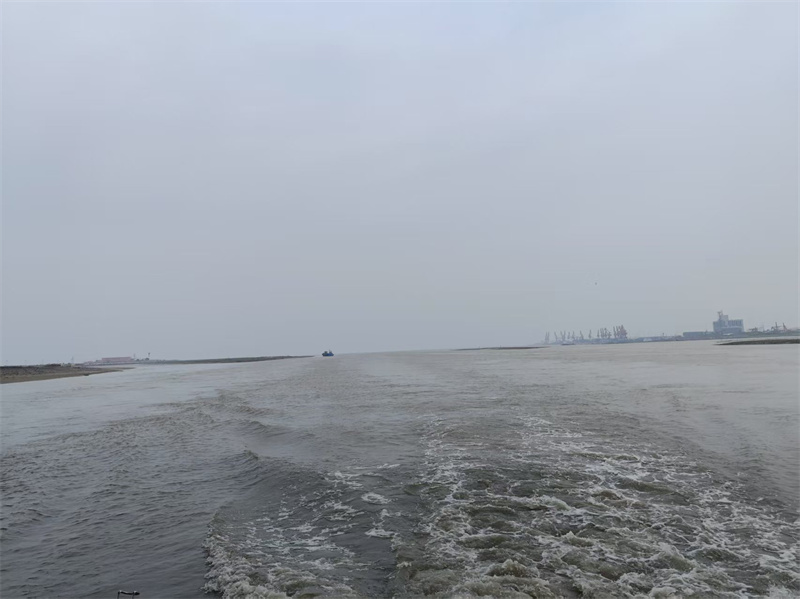 青岛海去哪里撒骨灰-2