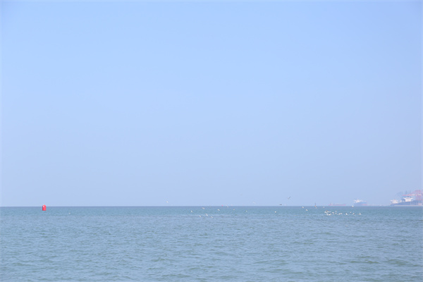 骨灰海葬是怎样的流程-1