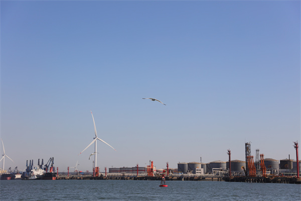 骨灰海葬的流程是怎样的-1