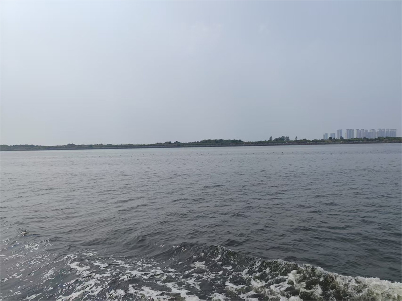 把亲人的骨灰撒在大海-2