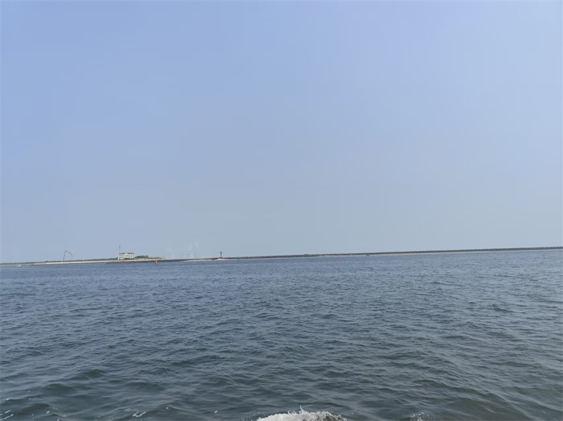黑庄户蔬菜批发市场地址在哪里