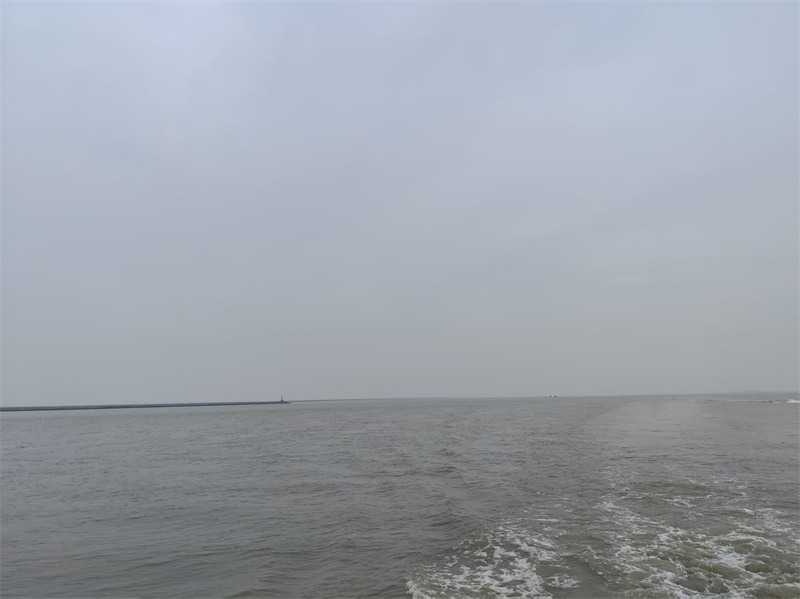 什么人不能去海边看海鸥-2