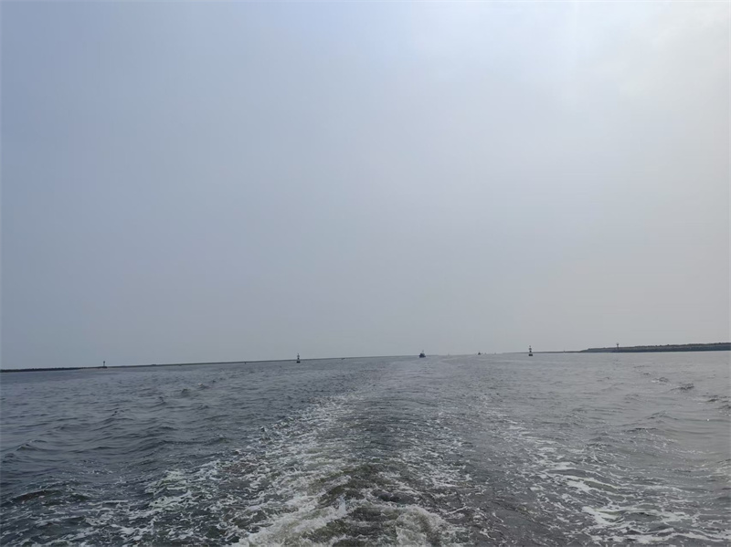 骨灰撒在海里好吗阴阳-2