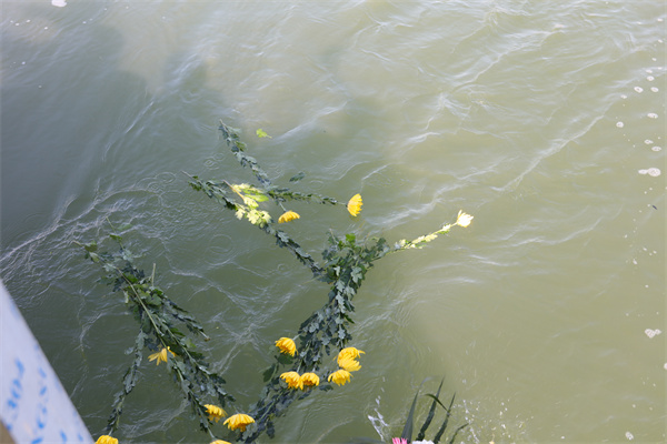 北京海葬地点选哪里比较好点-3