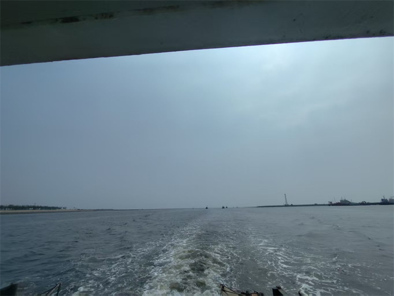 在上海如何申请海葬证-1