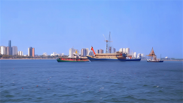 天津海葬视频