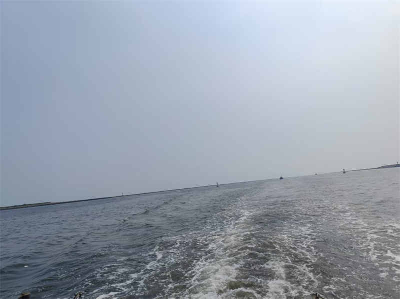 黑庄户海鲜市场开业了吗-2