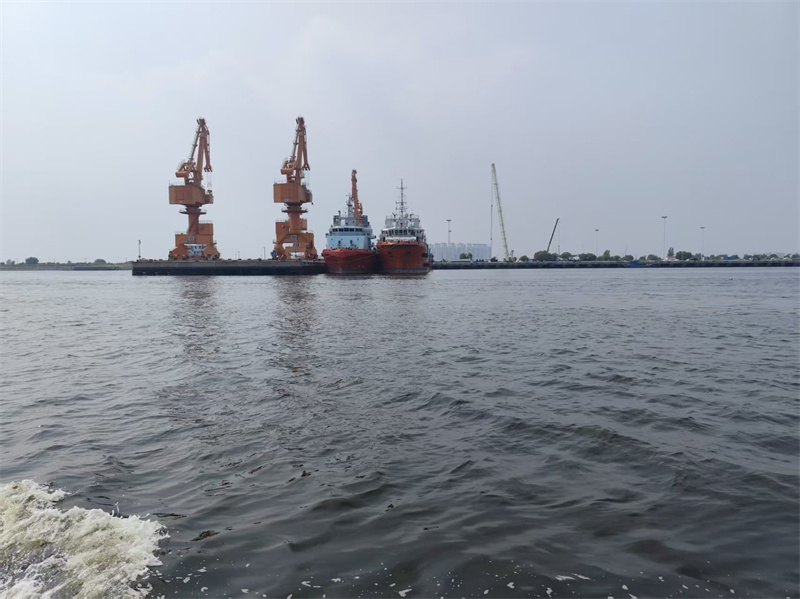 骨灰能撒到大海里吗-1