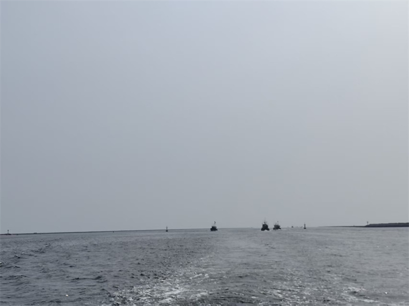 骨灰海撒公司-1