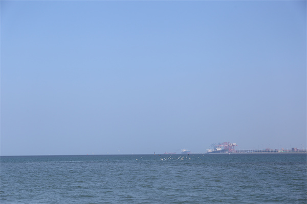 北京骨灰海撒什么时候登记-1