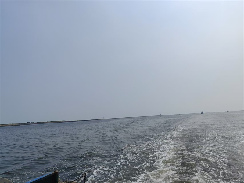 把自己的骨灰撒向大海-1