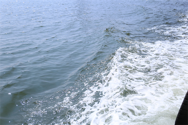 人死后在海里为什么会浮起来-2