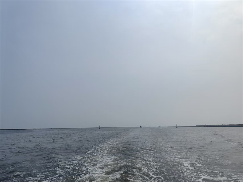 海葬对后代有影响吗知乎-2