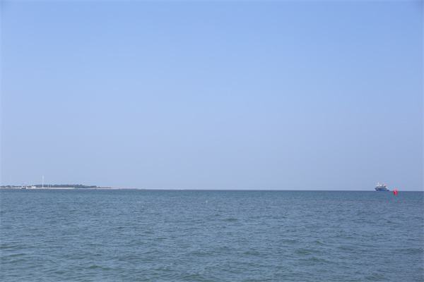 海葬好还是树葬好呢视频-1