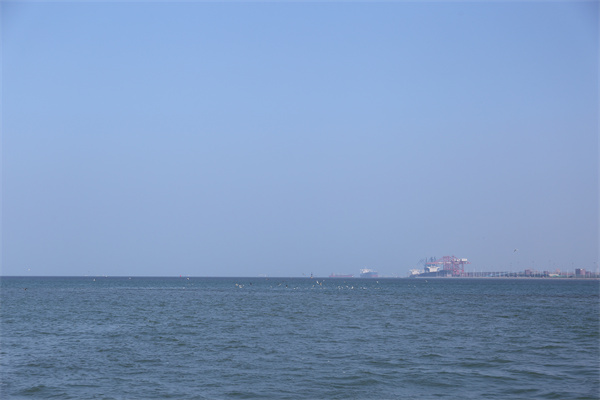 道教怎么评价海葬呢视频-2