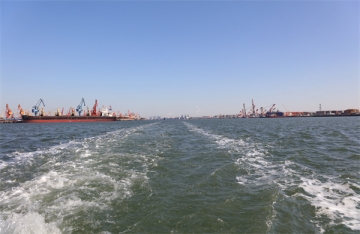 旧宫附近的海鲜市场