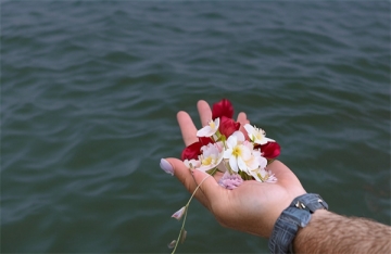 上海海葬补贴核实多久到账