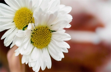 浙江海葬的流程