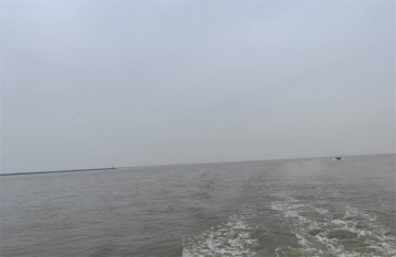 家属不去海葬可以吗为什么