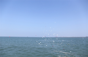 北京包船海葬价格一览表查询