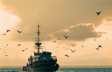 北京市海葬办理流程图最新