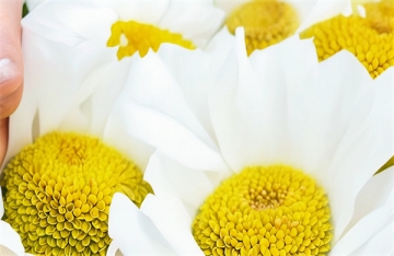 海葬对后代子孙有影响吗女孩