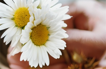 北京市海嘉双语学校招聘