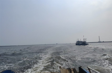 骨灰为什么要撒入大海呢视频