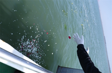 海葬对后代的风水影响有多大呢