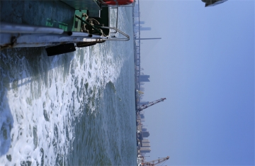 天津市今年还有骨灰撒海活动吗