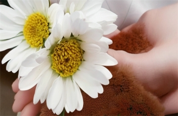 北京海葬服务中心官网招聘