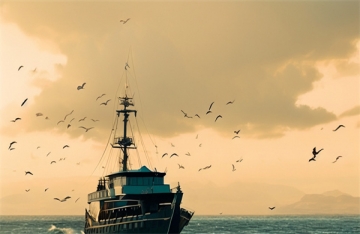 海葬原来的骨灰盒怎么处理好看