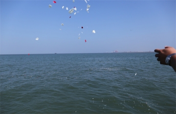 普通人骨灰可以撒大海吗图片