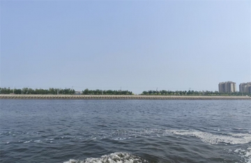 骨灰应该撒在海里是什么歌词