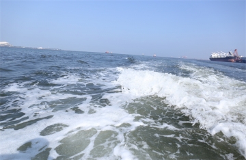 八宝山骨灰堂开放时间