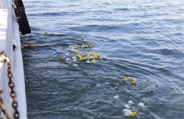 海葬费用大概是多少 亡故