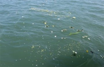 海葬还用每年祭奠吗为什么