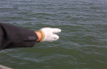 海葬需要花钱吗违法