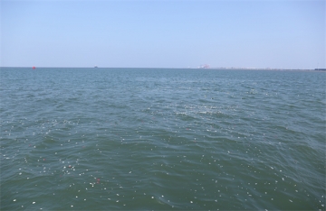 海葬对后人运势有没有影响风水呢视频