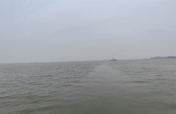 骨灰撒入大海需要什么手续